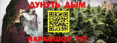 индика Заводоуковск