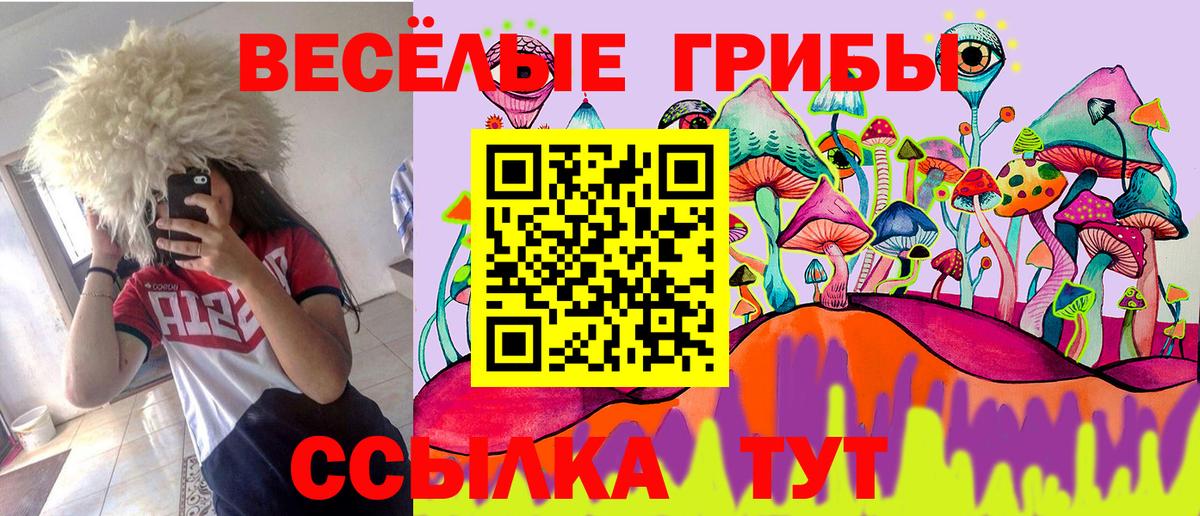 Галлюциногенные грибы Cubensis Холмск