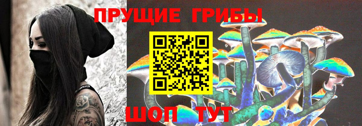 Галлюциногенные грибы Psilocybine cubensis  Вход с VPN  купить наркотики сайты  Холмск  Галлюциногенные грибы ЛСД 